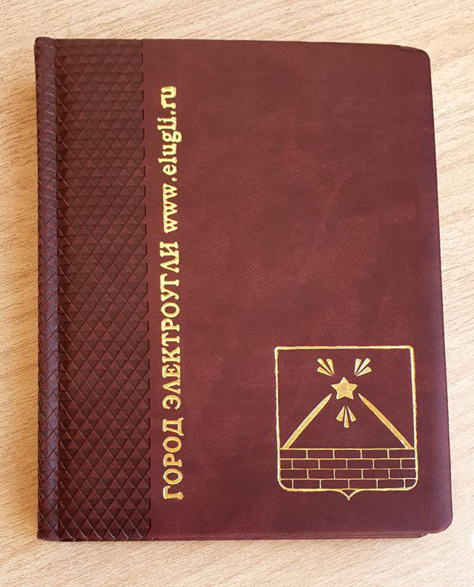 Ежедневник Электроугли