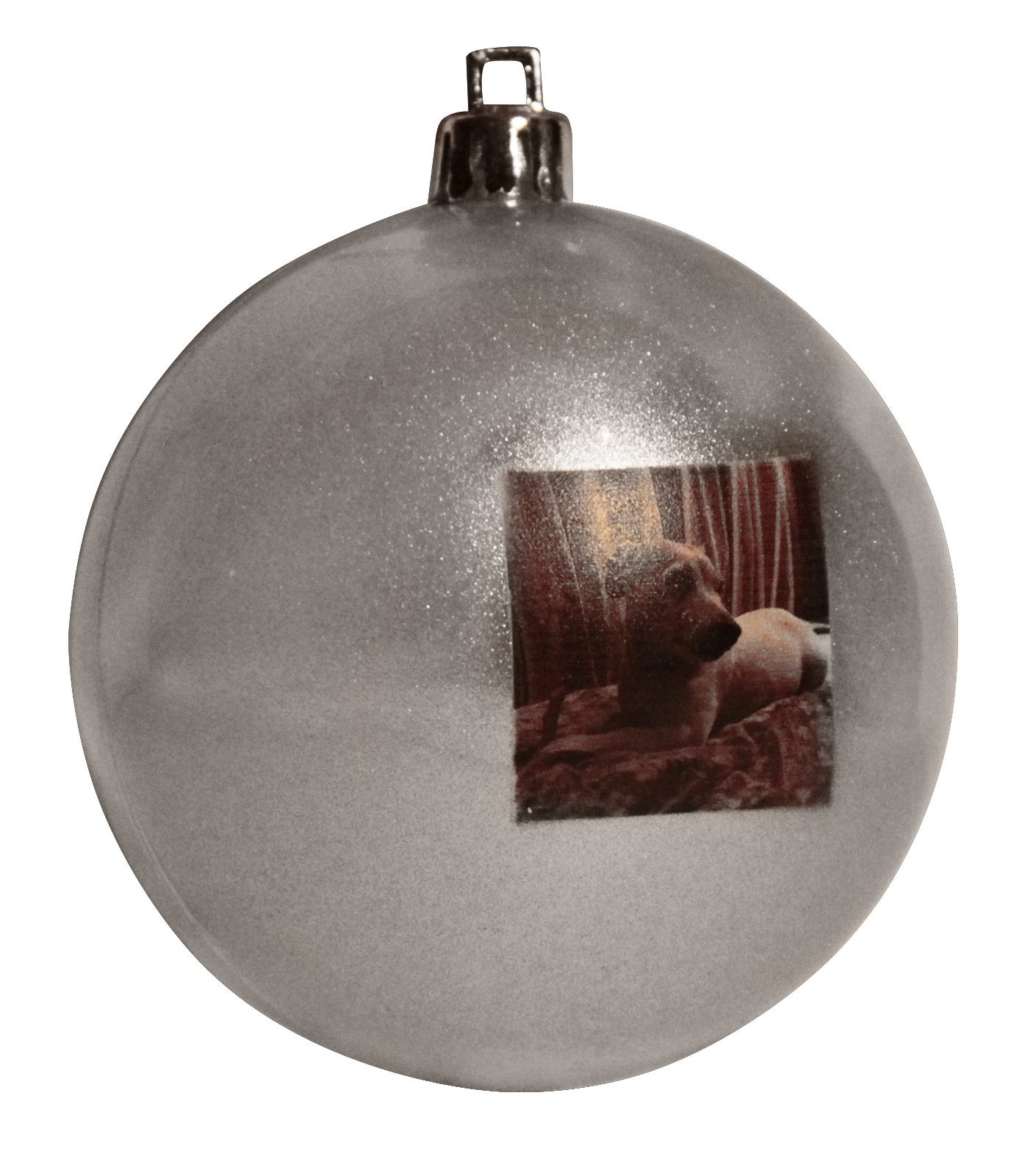 Собака