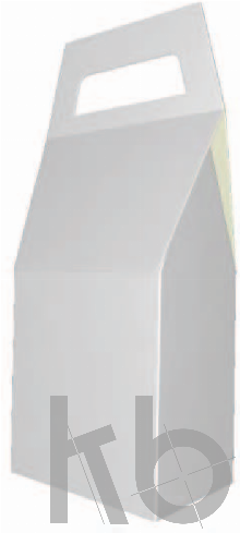 ECMA X85