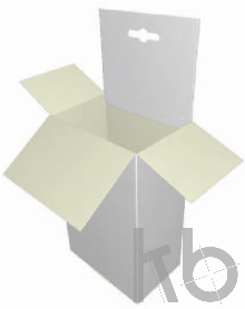ECMA A61.15.01.03.a