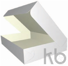 ECMA B15.06.00.53