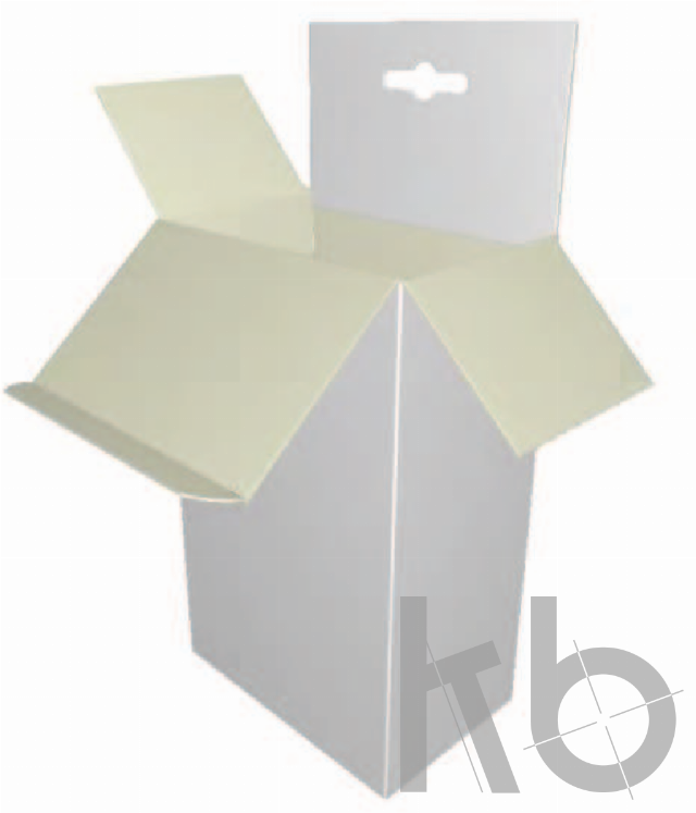 ECMA A80.21.03.01