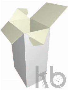 ECMA A45.61.01.01